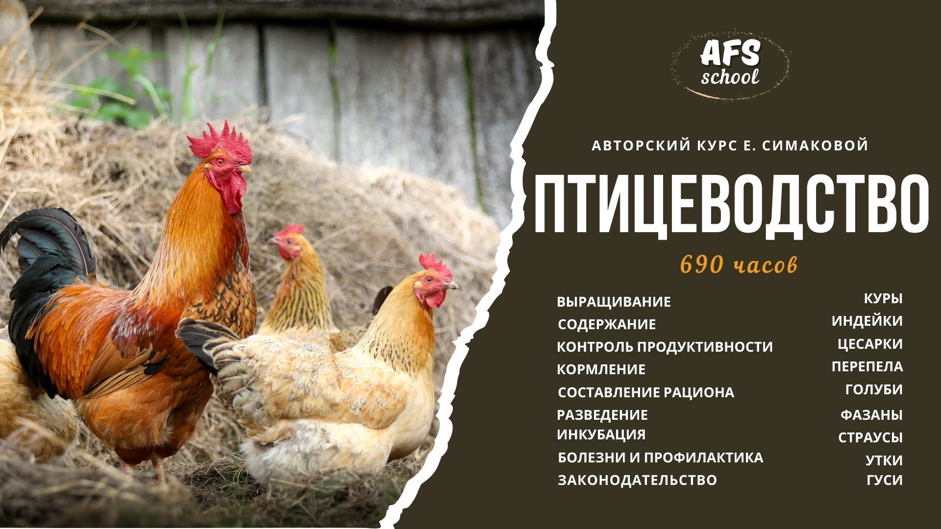 Курс ДПО "Птицеводство"