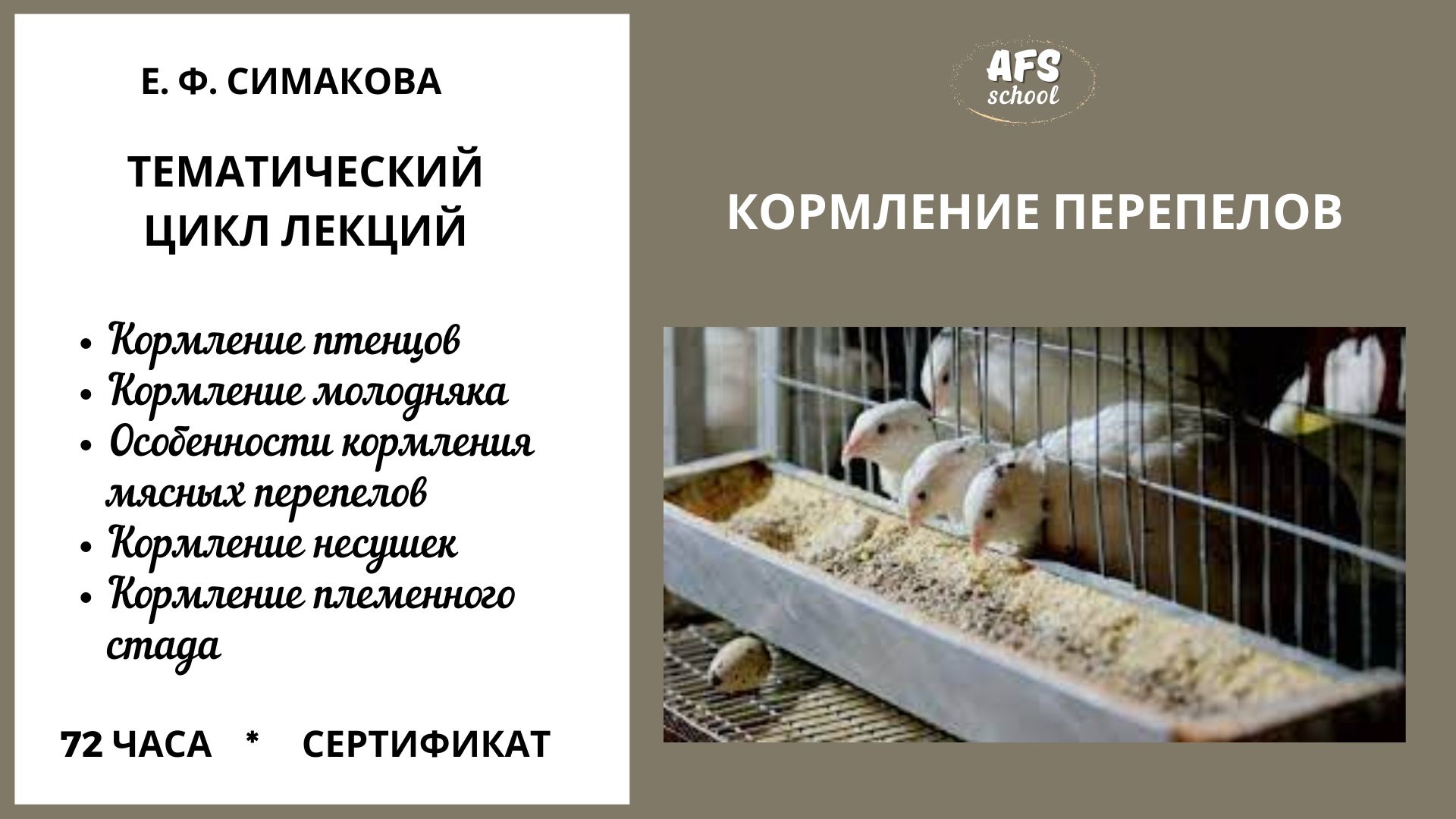 Повышение квалификации. Кормление перепелов