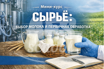 Сырьё: выбор молока и первичная обработка. Мини-курс